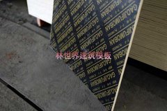 柳州建筑模板優質覆膜模板